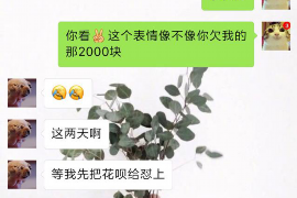 得荣专业催债公司的市场需求和前景分析